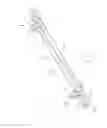 Fig. 08 - MODULAR JOIST BRACE BRACKET