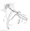 Fig. 01 - SLING FOR SUPPORTING A SADDLE