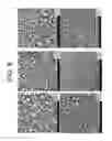 Fig. 09 - Porous ceramic article and method of manufacturing the same