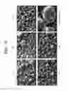 Fig. 10 - Porous ceramic article and method of manufacturing the same