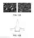 Fig. 12 - Porous ceramic article and method of manufacturing the same