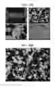 Fig. 20 - Porous ceramic article and method of manufacturing the same