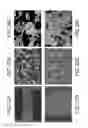 Fig. 23 - Porous ceramic article and method of manufacturing the same