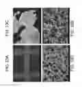 Fig. 24 - Porous ceramic article and method of manufacturing the same