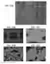 Fig. 35 - Porous ceramic article and method of manufacturing the same