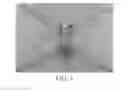 Fig. 06 - PERCHING MECHNISM EMPLOYING SHAPE-MEMORY EFFECT