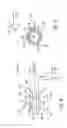 Fig. 09 - System and method having multi-tube fuel nozzle with multiple fuel injectors