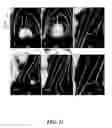 Fig. 13 - Method and Apparatus for Enhanced Flameholding in Augmentors
