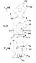 Fig. 19 - Analyzing load bearing members