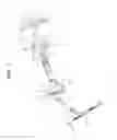 Fig. 08 - Tilt-type steering apparatus