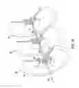 Fig. 25 - Detonation command and control