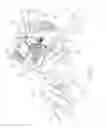 Fig. 07 - Electric toy gun