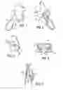 Fig. 02 - DECORATIVE CHARM