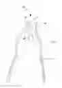 Fig. 01 - Mitter wringer