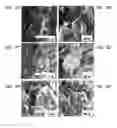 Fig. 08 - High performance thermoelectric materials