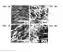Fig. 09 - High performance thermoelectric materials