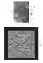Fig. 04 - Nanowire-based transparent conductors and applications thereof