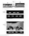Fig. 03 - CONDUCTING SUBSTRATE FOR A PHOTOVOLTAIC CELL