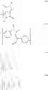 Fig. 26 - ORGANIC PHOTOELECTRIC CONVERSION ELEMENT