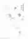 Fig. 07 - CURTAIN CONTROL ASSEMBLY