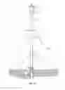 Fig. 02 - Self-Standing Riser with Artificial Lift System
