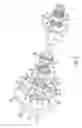 Fig. 09 - CLUTCH AND HAMMER ASSEMBLIES FOR POWER TOOL