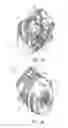 Fig. 05 - Power tool having improved motor and controller cooling