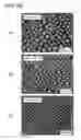 Fig. 34 - TRANSPARENT CONDUCTIVE ELEMENT, METHOD FOR MANUFACTURING THE SAME, INPUT DEVICE, ELECTRONIC APPARATUS, AND METHOD FOR MACHINING TRANSPARENT CONDUCTIVE LAYER