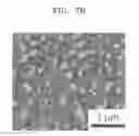 Fig. 09 - Member for flexible element and manufacturing method thereof