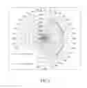Fig. 09 - Sound diffuser inspired by cymatics phenomenon