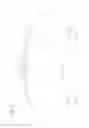 Fig. 06 - Disc brake pad assembly