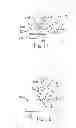 Fig. 07 - System and method for singulating and separating a plurality of non-oriented items