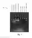 Fig. 02 - Bioimaging nucleic acids, proteins and enzymes