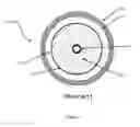 Fig. 02 - Filter With Captured Membrane