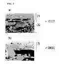 Fig. 03 - POROUS POLYTETRAFLUOROETHYLENE MEMBRANE, POROUS-POLYTETRAFLUOROETHYLENE-MEMBRANE COMPOSITE, AND SEPARATION MEMBRANE ELEMENT