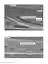 Fig. 01 - High throughput membrane with channels
