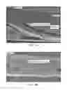 Fig. 02 - High throughput membrane with channels