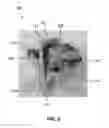 Fig. 06 - FUEL CAP HOLDER