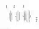 Fig. 08 - Progressive barcode