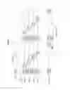 Fig. 05 - Imaging device and method for achieving wide dynamic range