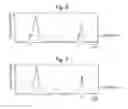 Fig. 06 - Mass spectrometer with timing determination based on a signal intensity in a chromatogram