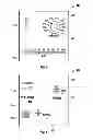 Fig. 07 - Security scanning device