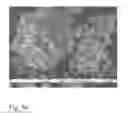 Fig. 09 - Method for making a lignin component, a lignin component and its use and a product