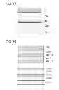 Fig. 04 - Organometallic complex, light-emitting element, light-emitting device, electronic appliance, and lighting device