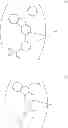 Fig. 67 - Organometallic complex, light-emitting element, light-emitting device, electronic appliance, and lighting device