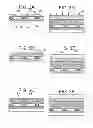 Fig. 04 - Peeling method and method for manufacturing display device using the peeling method