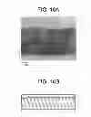 Fig. 12 - Peeling method and method for manufacturing display device using the peeling method