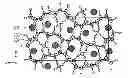 Fig. 01 - Phosphor