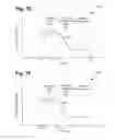 Fig. 10 - Group III-V device with a selectively modified impurity concentration