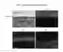 Fig. 01 - GRAPHENE-BASED METAL DIFFUSION BARRIER